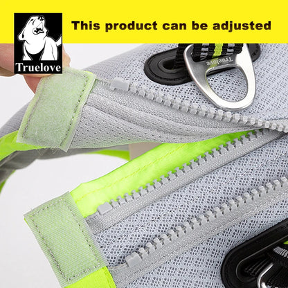 Ultimate Pet Cooling Vest - Lightweight Jacket for All Seasons, Perfect for Outdoor Adventures with Your Dog!